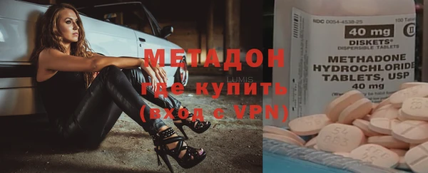 сатива Няндома